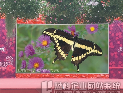 P10戶外LED顯示屏 P10戶外LED顯示屏多少錢一平