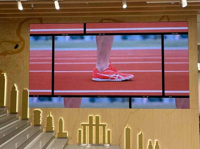 wz24012300 wz24012300